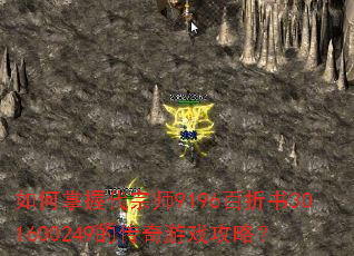 ������մ���ʦ9196������301600249�Ĵ�����Ϸ���ԣ�