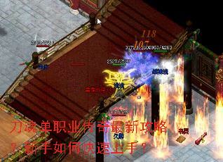 ���굥ְҵ�������¹��ԣ�������ο������֣�