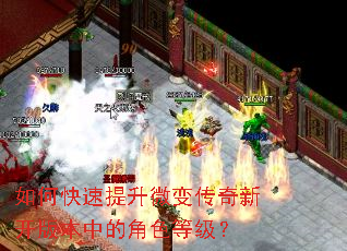 ��ο�������΢�䴫���¿��汾�еĽ�ɫ�ȼ���