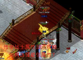 ����սʿ���Լӵ㹥�ԣ����ѡ��������ԣ�