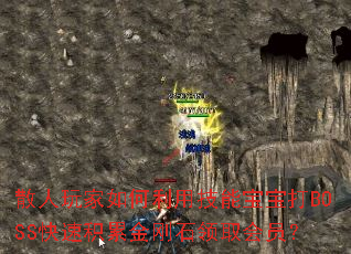 ɢ�����������ü��ܱ�����BOSS���ٻ��۽��ʯ��ȡ��Ա��