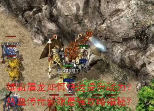 �۰�������ο�������ս������Ѫ�����·���ǿ���Խ��أ�