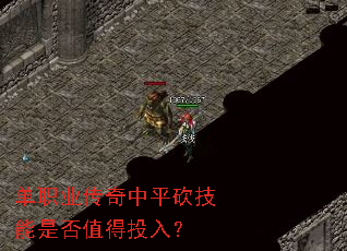 ��ְҵ������ƽ�������Ƿ�ֵ��Ͷ�룿