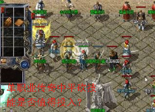 ��ְҵ������ƽ�������Ƿ�ֵ��Ͷ�룿