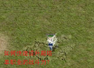 ��ο�������������ְҵ��ս������