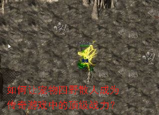 ����ó�����Ұɢ�˳�Ϊ������Ϸ�еĶ���ս����