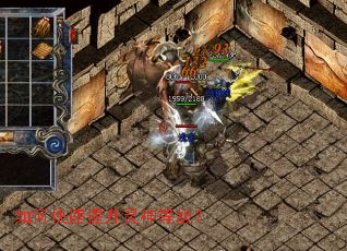 ��ο�����������ȼ���