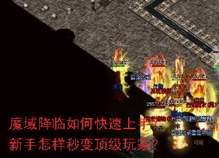ħ������ο������֣�����������䶥����ң�