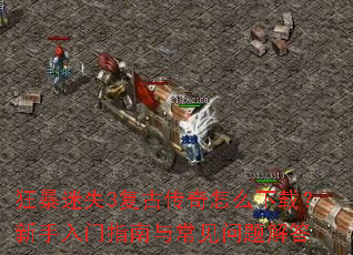 ����ʧ3���Ŵ�����ô���أ���������ָ���볣��������