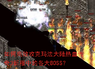 ��θ�Ч�����귨��½��Ѫ����3�·��еĸ���BOSS��