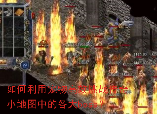 ������ó����Ч��ս����С��ͼ�еĸ���boss��