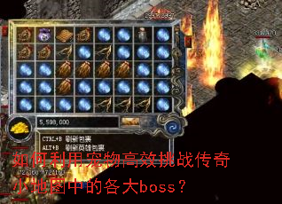 ������ó����Ч��ս����С��ͼ�еĸ���boss��