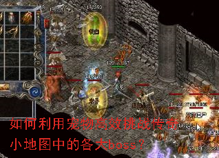 ������ó����Ч��ս����С��ͼ�еĸ���boss��