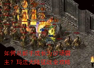 ��δ����ֳɳ�Ϊɳ���������귨��½��սȫ����