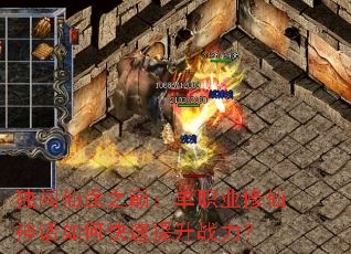 ������;֮�ۣ���ְҵ��������ο�������ս����