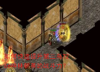 如何快速提升第三岛7266神林朝英的战斗力? 如何快速提升第三岛7266神林朝英的战斗力?