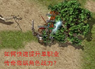 ��ο���������ְҵ����΢�˽�ɫս����