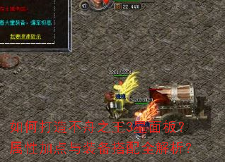 如何打造不舟之王3星面板?属性加点与装备搭配全解析? 如何打造不舟之王3星面板?属性加点与装备搭配全解析?
