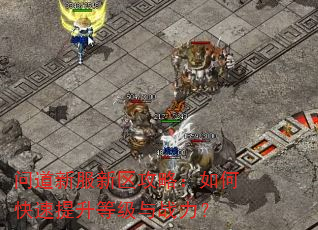 问道新服新区攻略:如何快速提升等级与战力? 问道新服新区攻略:如何快速提升等级与战力?