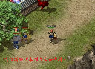 传奇新服版本到底有多少种? 传奇新服版本到底有多少种?