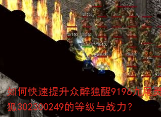 如何快速提升众醉独醒9196九尾灵狐302300249的等级与战力? 如何快速提升众醉独醒9196九尾灵狐302300249的等级与战力?