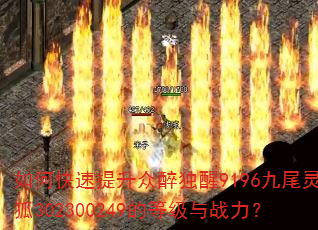 如何快速提升众醉独醒9196九尾灵狐302300249的等级与战力? 如何快速提升众醉独醒9196九尾灵狐302300249的等级与战力?