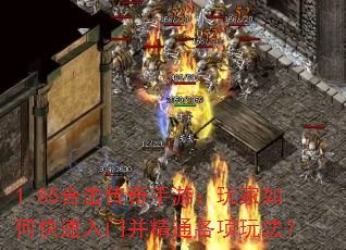1.85合击传奇手游:玩家如何快速入门并精通各项玩法? 1.85合击传奇手游:玩家如何快速入门并精通各项玩法?
