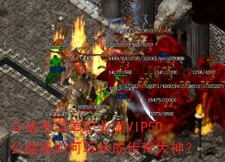 斗破苍穹单职业满VIP50公益服如何玩转成传奇大神? 斗破苍穹单职业满VIP50公益服如何玩转成传奇大神?