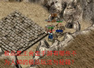 极品星王合击手游有哪些不为人知的极品玩法与秘籍? 极品星王合击手游有哪些不为人知的极品玩法与秘籍?